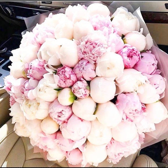 Meet your Posher, Claudette - Picture 1 of 1